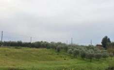 Foto Terreno agricolo in vendita a Lamporecchio 3220 mq  Rif: 1232207