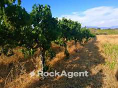 Foto Terreno agricolo in vendita a Lanuvio