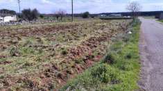 Foto Terreno agricolo in vendita a Laterza