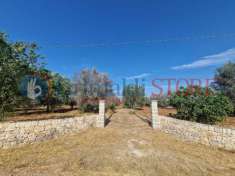 Foto Terreno agricolo in vendita a Latiano