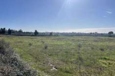 Foto Terreno agricolo in vendita a Lecce