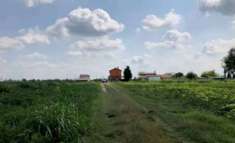 Foto Terreno agricolo in Vendita a Legnago