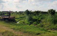 Foto Terreno agricolo in Vendita a Legnago Vigo