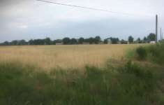 Foto Terreno agricolo in Vendita a Leno