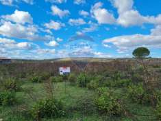 Foto Terreno agricolo in vendita a Lentini