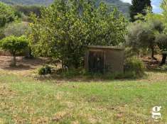 Foto Terreno agricolo in vendita a Librizzi