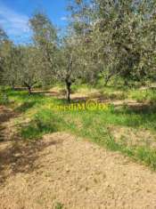 Foto Terreno agricolo in vendita a Limoncino - Livorno 4200 mq  Rif: 1342159