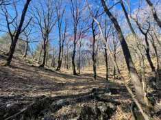 Foto Terreno agricolo in vendita a Linguaglossa