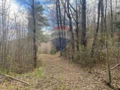 Foto Terreno agricolo in vendita a Linguaglossa