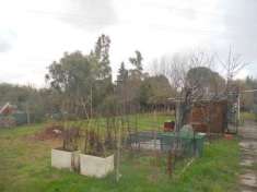 Foto Terreno agricolo in vendita a Livorno 2000 mq  Rif: 1023871