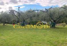 Foto Terreno agricolo in vendita a Livorno 2050 mq  Rif: 1271982