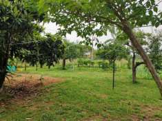 Foto Terreno agricolo in vendita a Livorno 2150 mq  Rif: 1273975