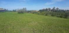 Foto Terreno agricolo in vendita a Livorno