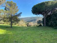 Foto Terreno agricolo in vendita a Livorno