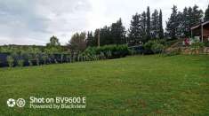 Foto Terreno agricolo in vendita a Livorno