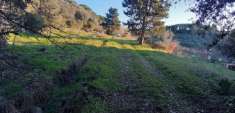 Foto Terreno agricolo in vendita a Livorno