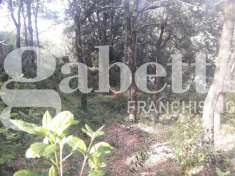 Foto Terreno agricolo in vendita a Livorno