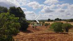 Foto Terreno agricolo in vendita a Locorotondo
