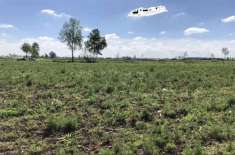 Foto Terreno agricolo in Vendita a Lograto