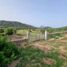 Foto Terreno agricolo in vendita a Loiri Porto San Paolo