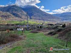 Foto Terreno agricolo in vendita a Losine