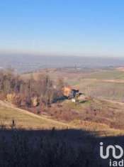 Foto Terreno agricolo in vendita a Lu e Cuccaro Monferrato