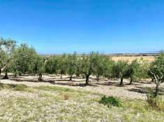 Foto Terreno agricolo in vendita a Lucera