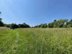 Foto Terreno agricolo in vendita a Lurago D'Erba