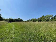 Foto Terreno agricolo in vendita a Lurago D'Erba