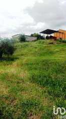 Foto Terreno agricolo in vendita a Magliano In Toscana