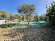 Foto Terreno agricolo in vendita a Maiera'