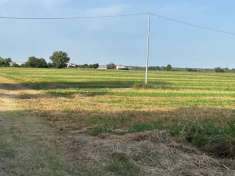 Foto Terreno agricolo in vendita a Malalbergo