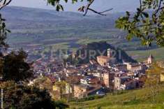 Foto Terreno agricolo in vendita a Maletto