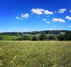 Foto Terreno agricolo in vendita a Manciano