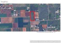 Foto Terreno agricolo in vendita a Manduria