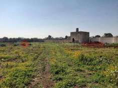 Foto Terreno agricolo in vendita a Manduria