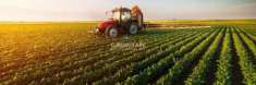Foto TERRENO AGRICOLO IN VENDITA A MANERBA DEL GARDA