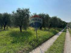 Foto Terreno agricolo in vendita a Manerba Del Garda