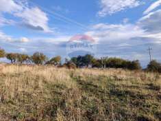 Foto Terreno agricolo in vendita a Manfredonia