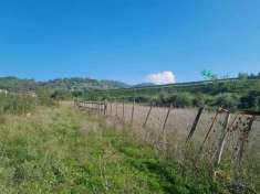 Foto Terreno agricolo in vendita a Manocalzati