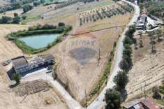 Foto Terreno agricolo in vendita a Manoppello