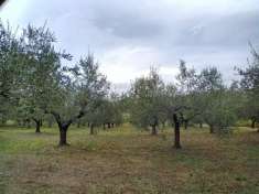 Foto Terreno agricolo in vendita a Manoppello