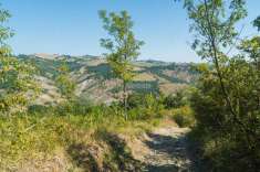 Foto Terreno agricolo in vendita a Marano Sul Panaro