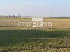 Foto Terreno agricolo in vendita a Marcon