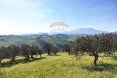 Foto Terreno agricolo in vendita a Marineo