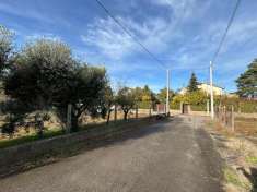 Foto Terreno agricolo in vendita a Marino