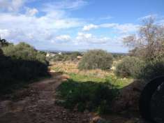 Foto Terreno agricolo in Vendita a Marsala