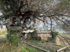 Foto Terreno agricolo in vendita a Mascali