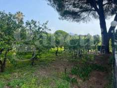 Foto Terreno agricolo in vendita a Mascali