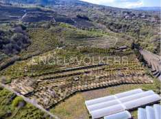 Foto Terreno agricolo in vendita a Mascali